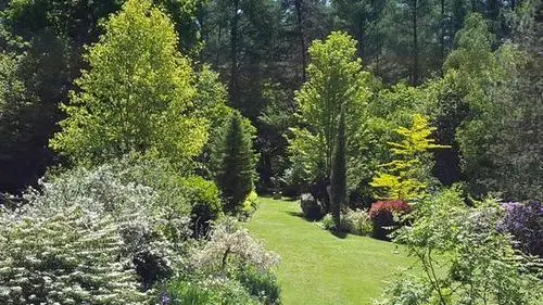 fa3f2e8ad0705d56d5f541b9.06454141