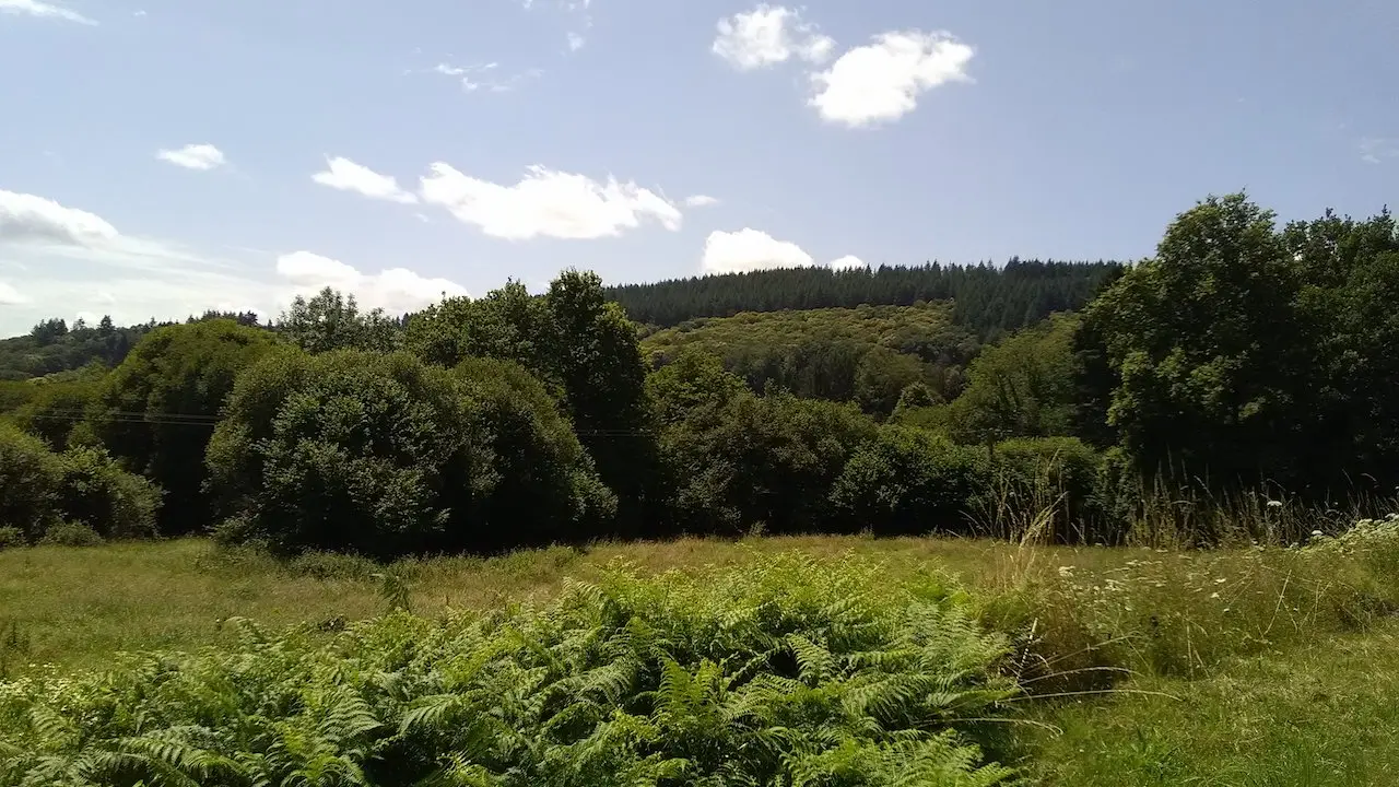 forêt monts d'ambazac