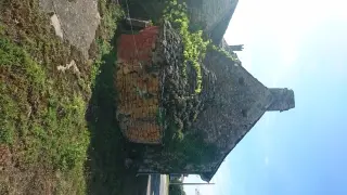 fourboucledesorchidéesAA