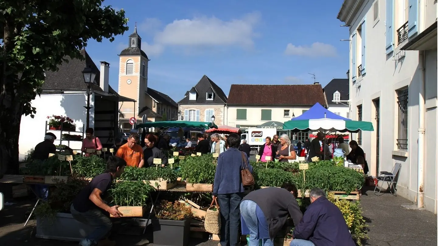 Bastide - Gan - le marché