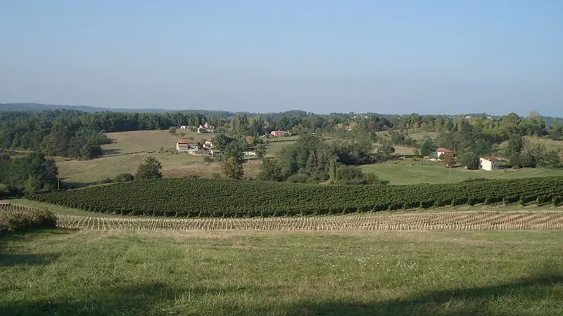 gineste-vue4