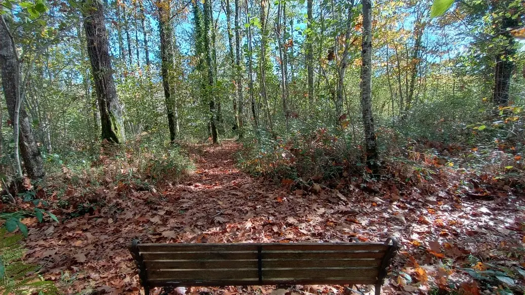 Gîte le Moulin de Chez Brandy - Périgord Limousin