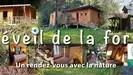 gite_nature_eveil_de_la_foret_correze V2