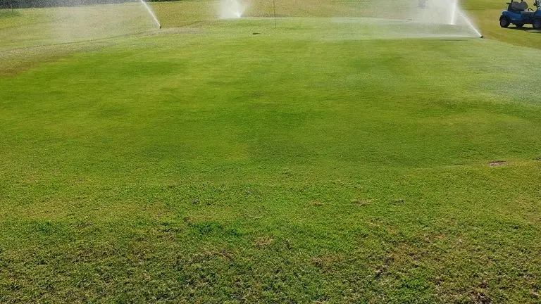 green n°5 arrosage