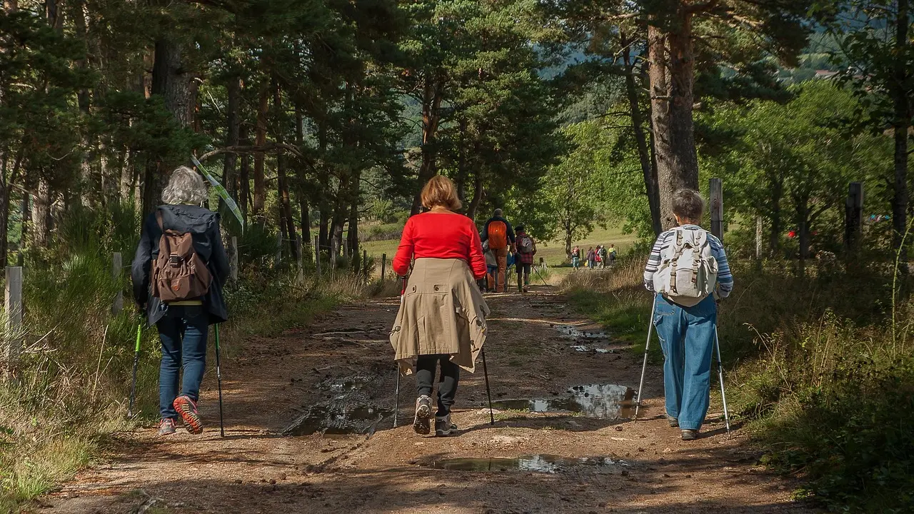 hikers