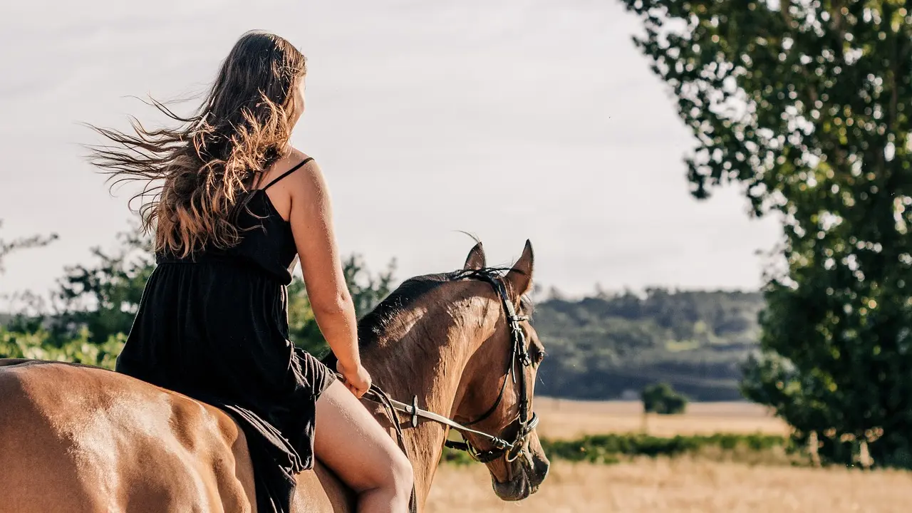 horseback-riding