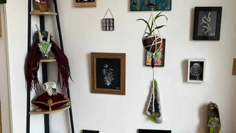 Cabinet de curiosités