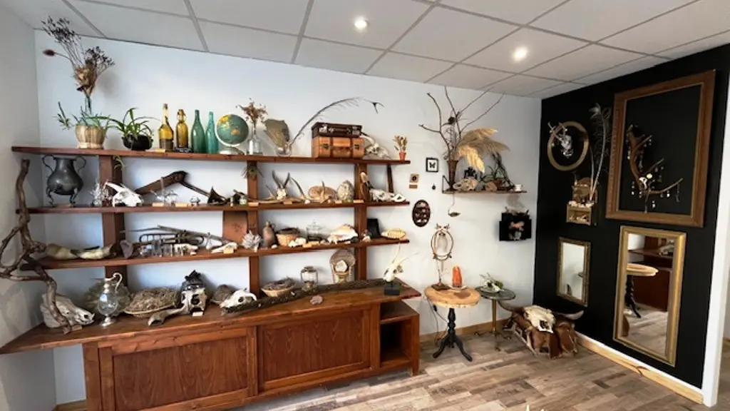 Cabinet de curiosités