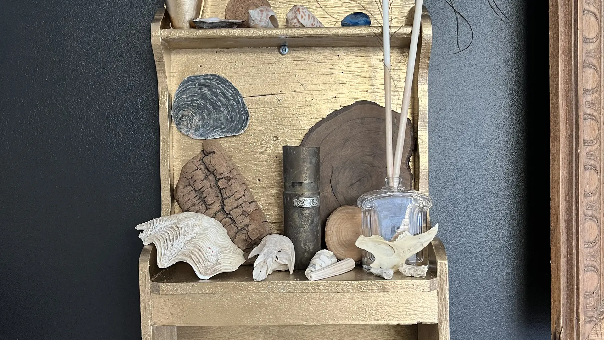 Cabinet de curiosités