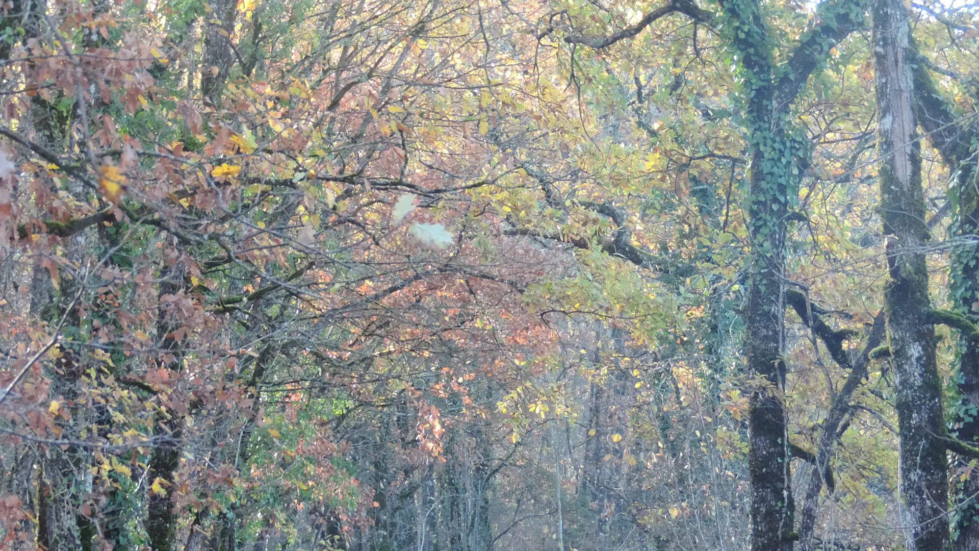 intersection_10_après5