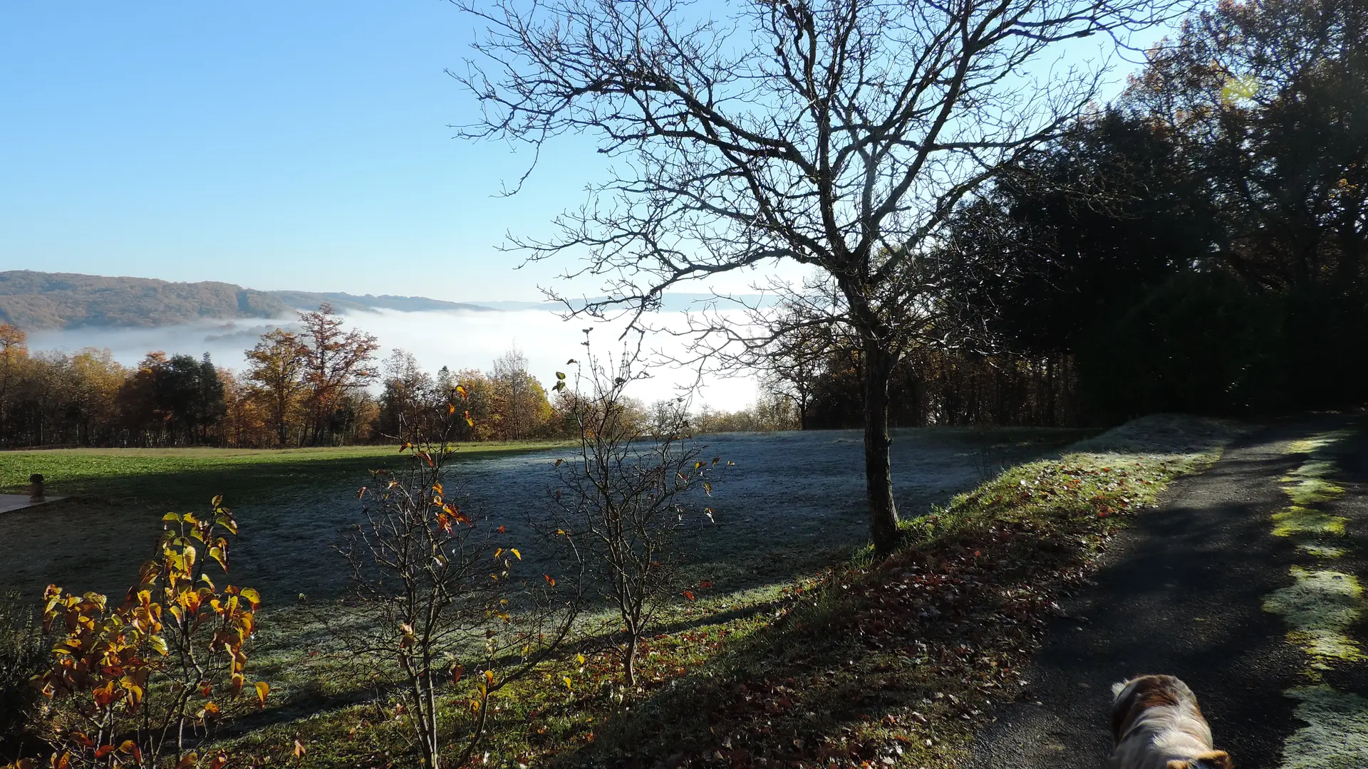 intersection_16_après1