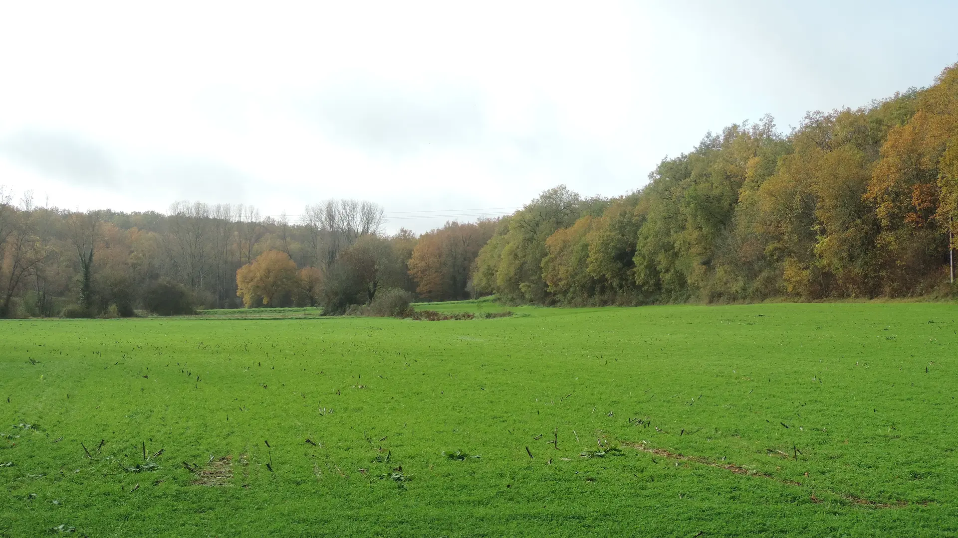 intersection14_après_2