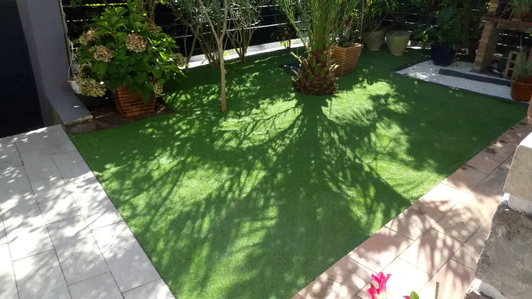 jardin gazon  [800x600]