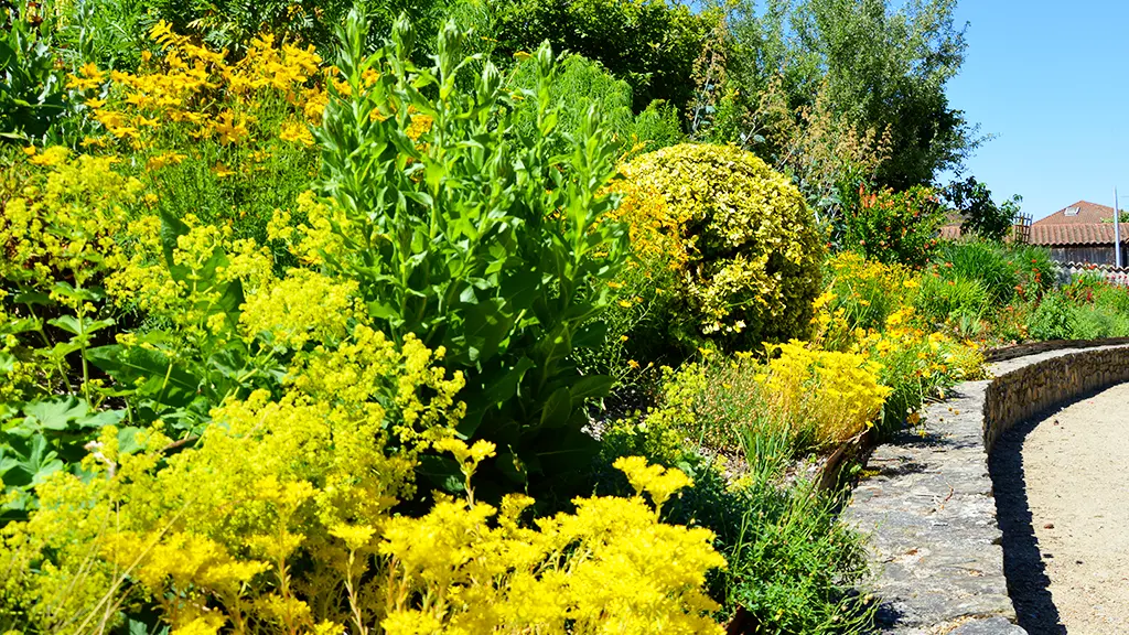 jardin-des-sens
