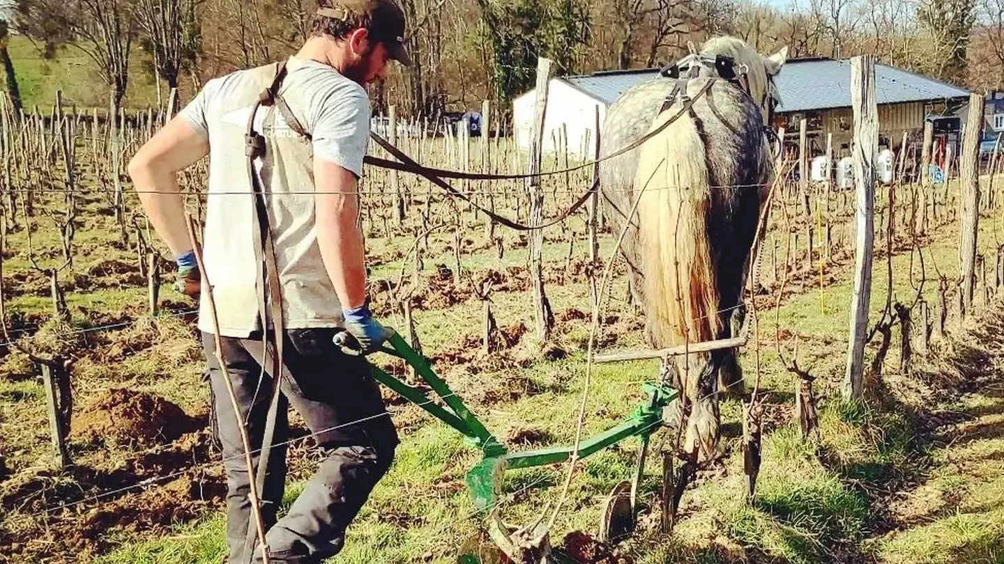 Clos Larrouyat - Gan - aux labours