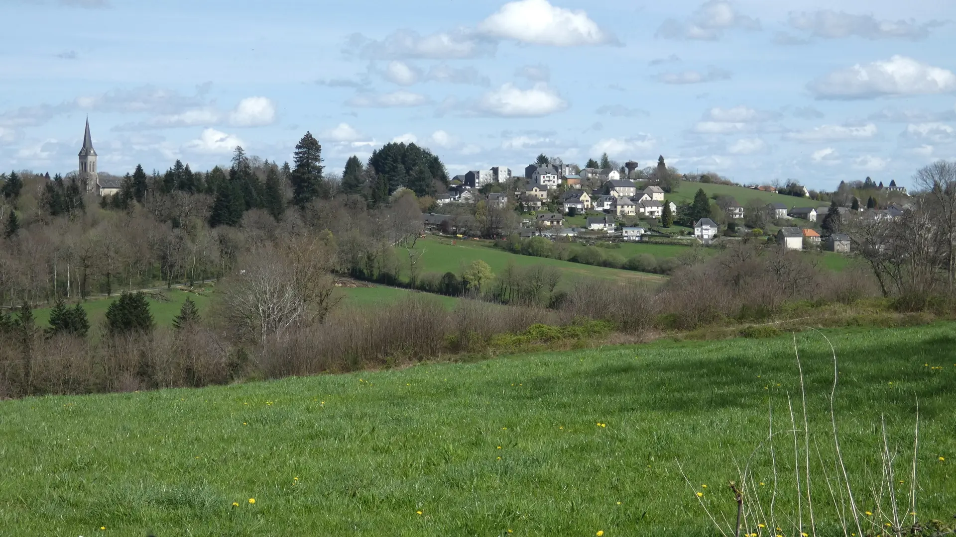 le tour forestier P1030022
