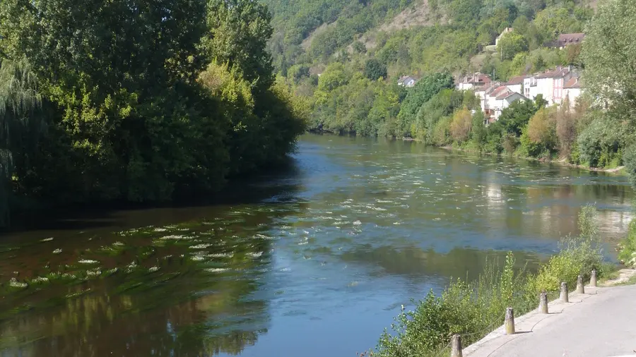 le Bugue - Vézère (2) 2