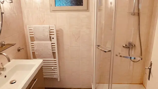 Salle d'eau - Location Saint-Brice-sur-Vienne