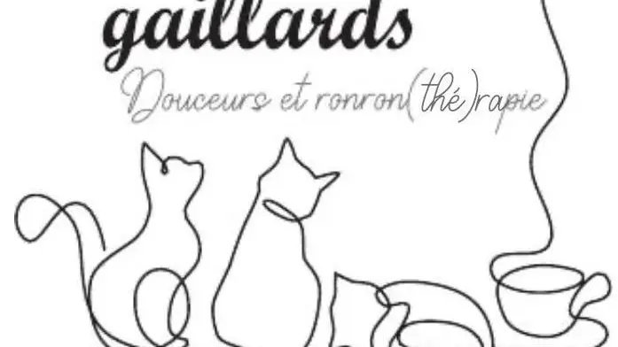 logo Op'tit chat gaillard