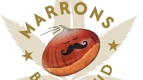 logo_marrons_Brugeaud-removebg-preview