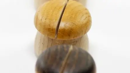 lunivers_du_champignon_1
