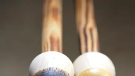 lunivers_du_champignon_4
