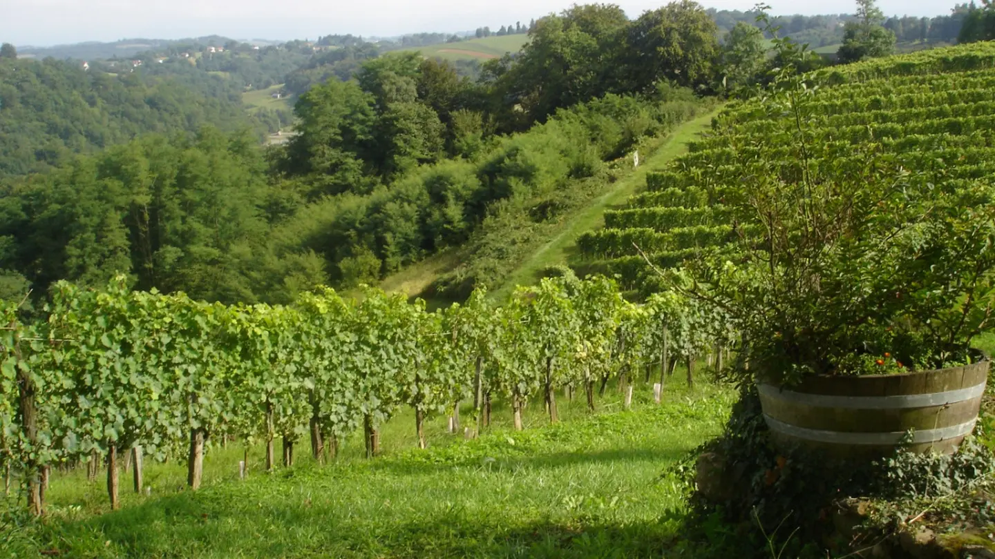 chambre d'hôtes fleurs - Laroin - la campagne