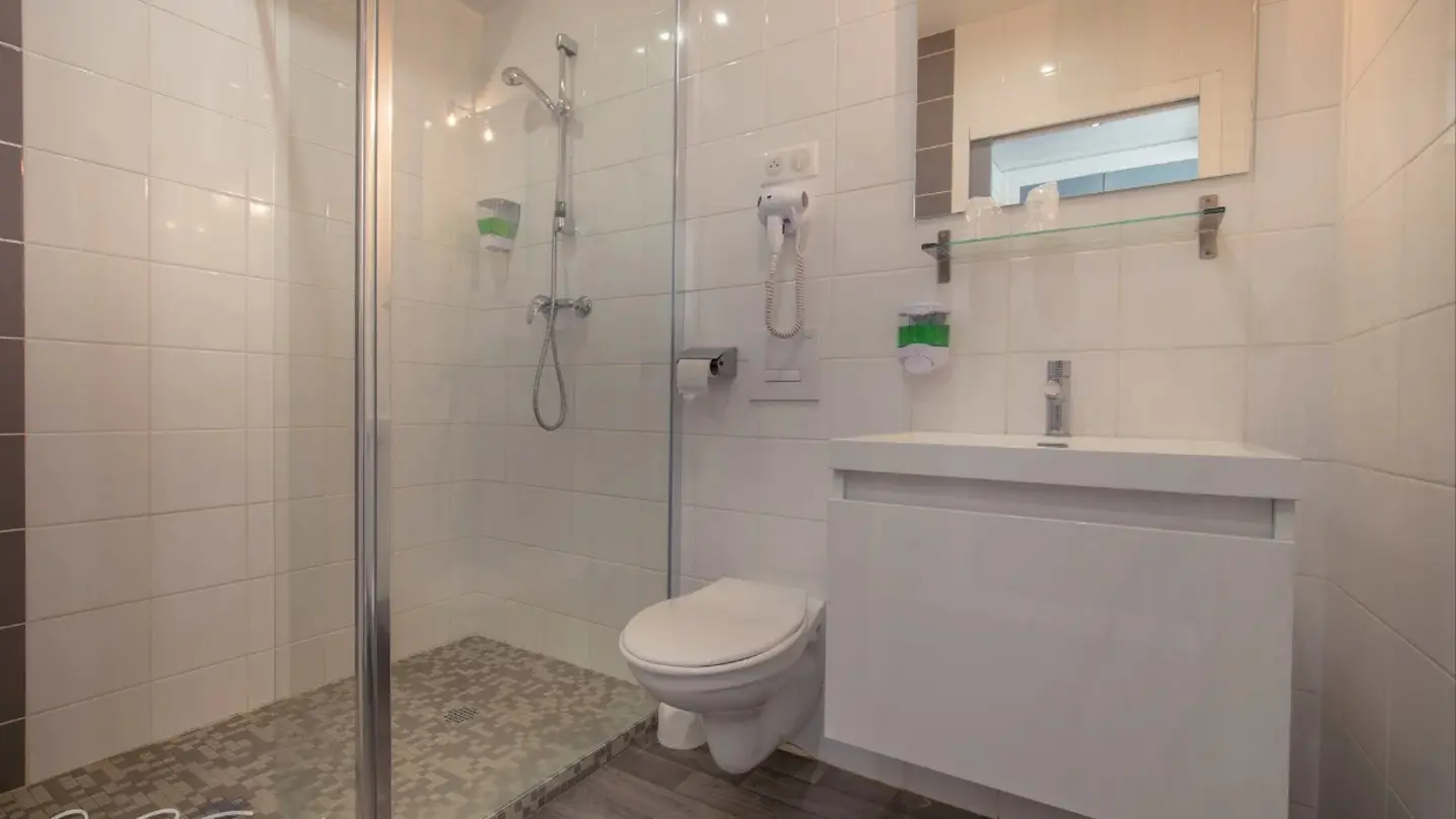 Hôtel le Matisse - Pau - bain