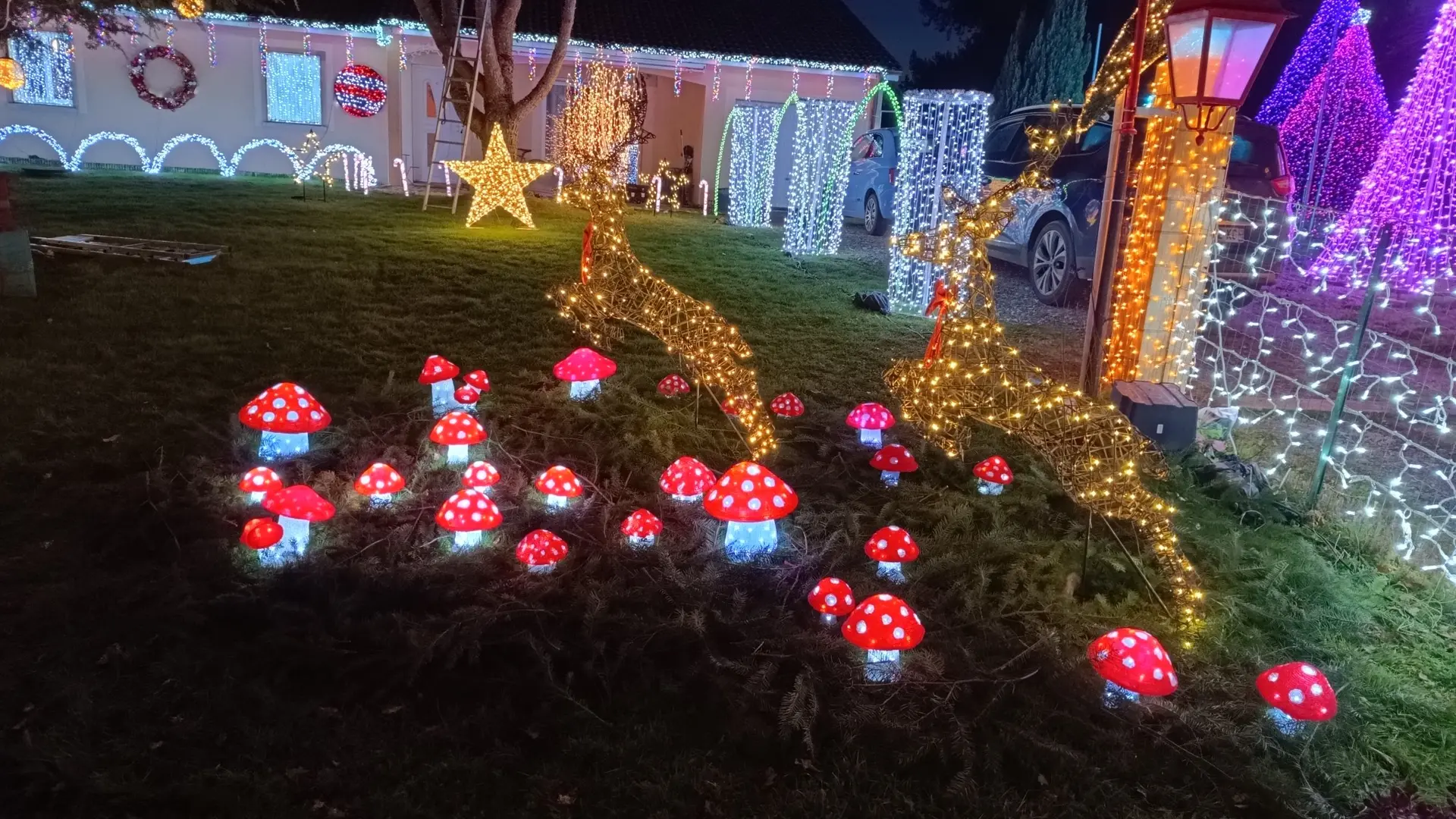 maison illuminée  noël la meyze champignons