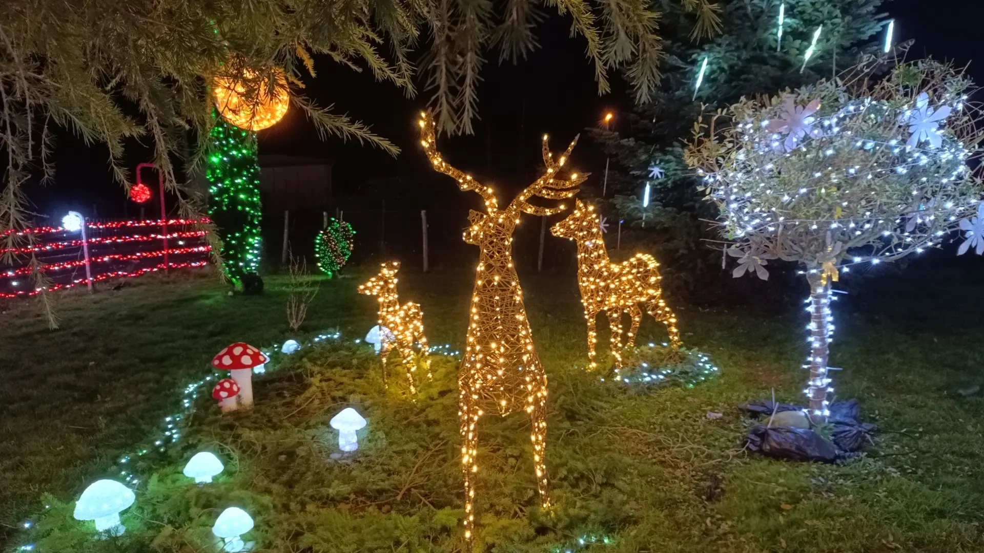 maison illuminée  noel la meyze rennes