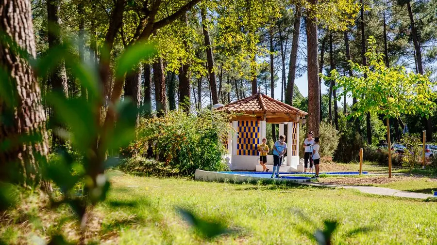 maxgolf-agence-les-conteurs-69 (12) [800x600]