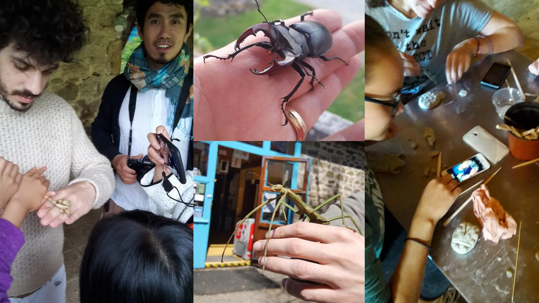 montage pour manipulation & atelier de modelage