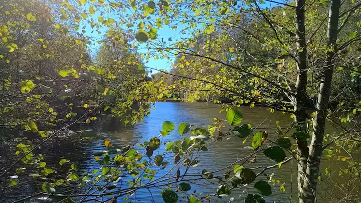 Extérieurs, Moulin de chez Brandy - Gîte en Limousin