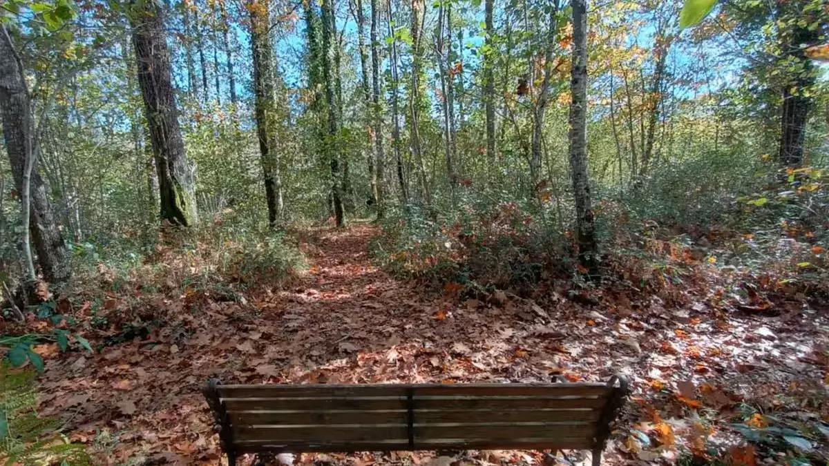 Extérieurs, Moulin de chez Brandy - Gîte en Limousin