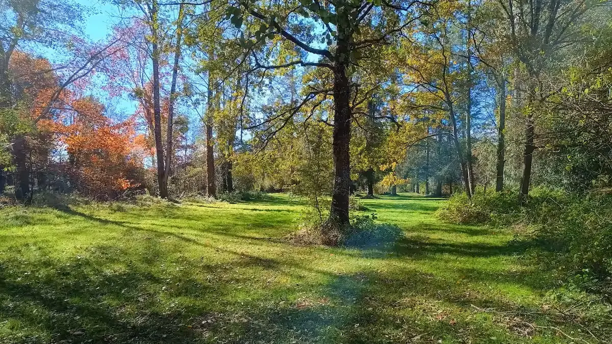 Extérieurs, Moulin de chez Brandy - Gîte en Limousin
