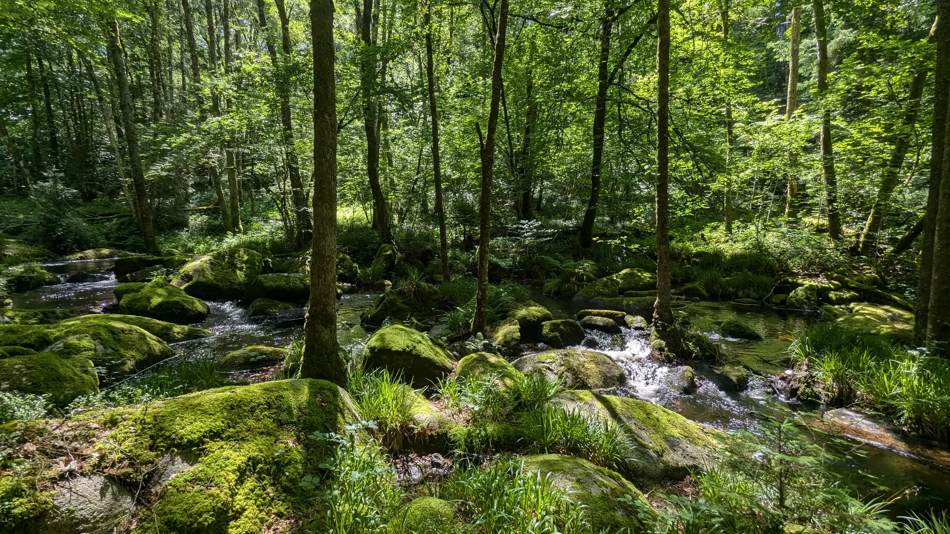 moulins&rochers-tarnac