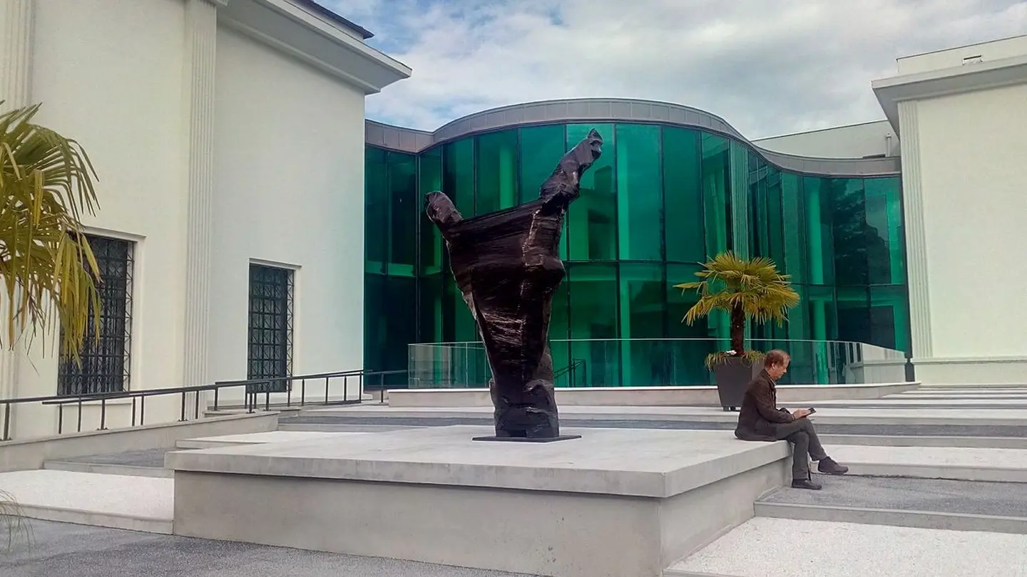 Musée des Beaux Arts - Pau - entrée