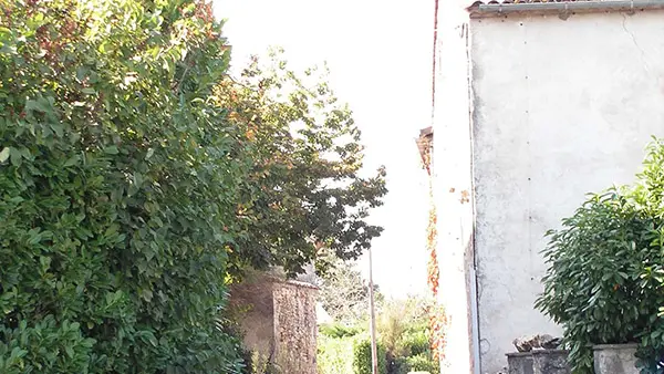 nastringues-rue