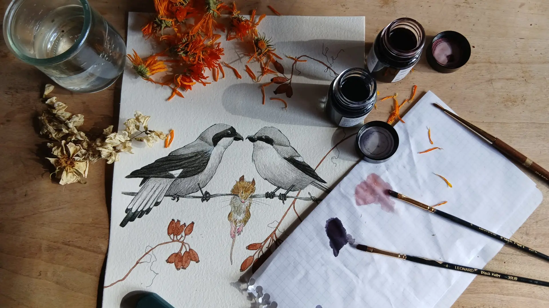 nature et création_Gaëlle Caublot