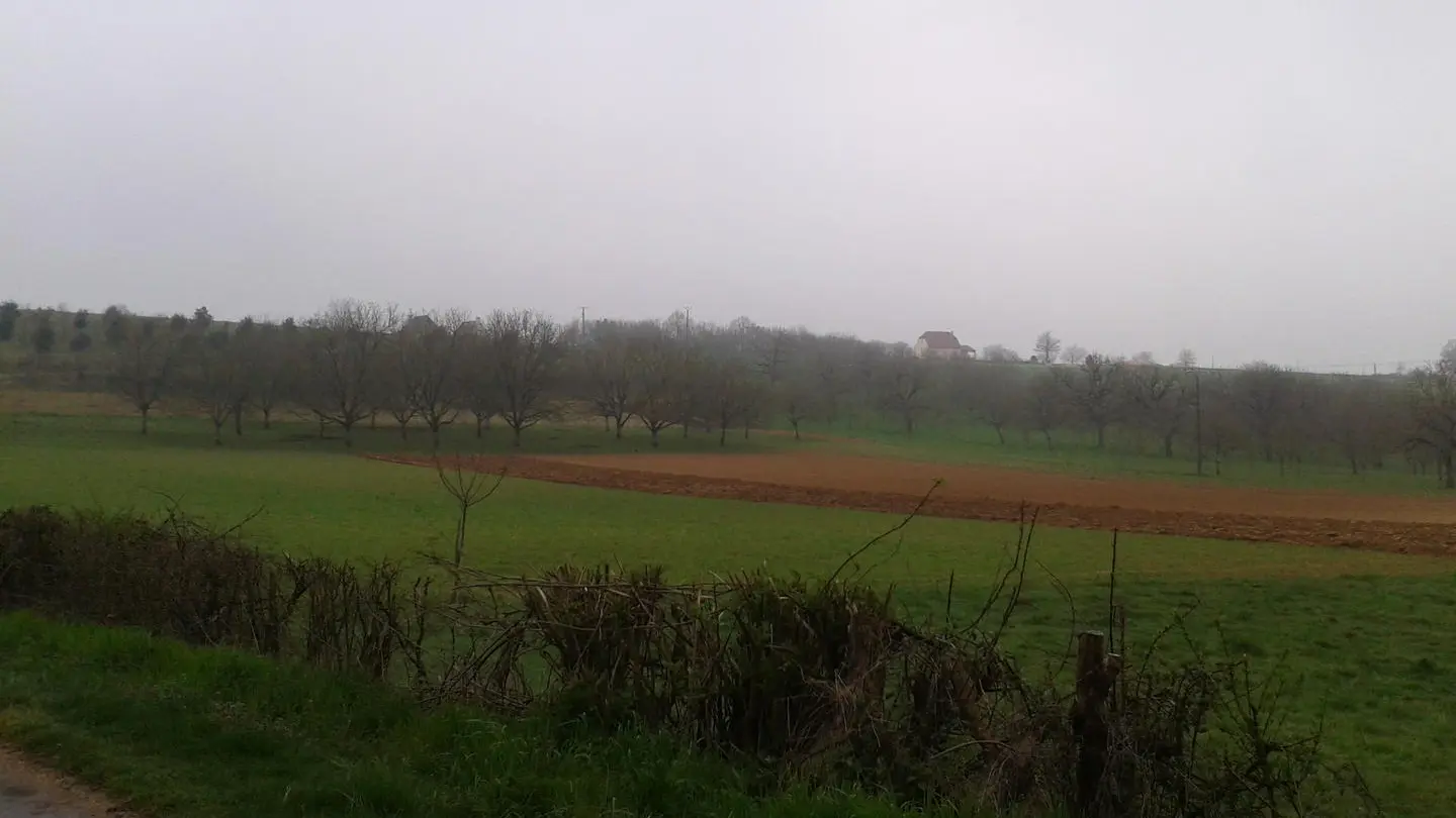 paysage
