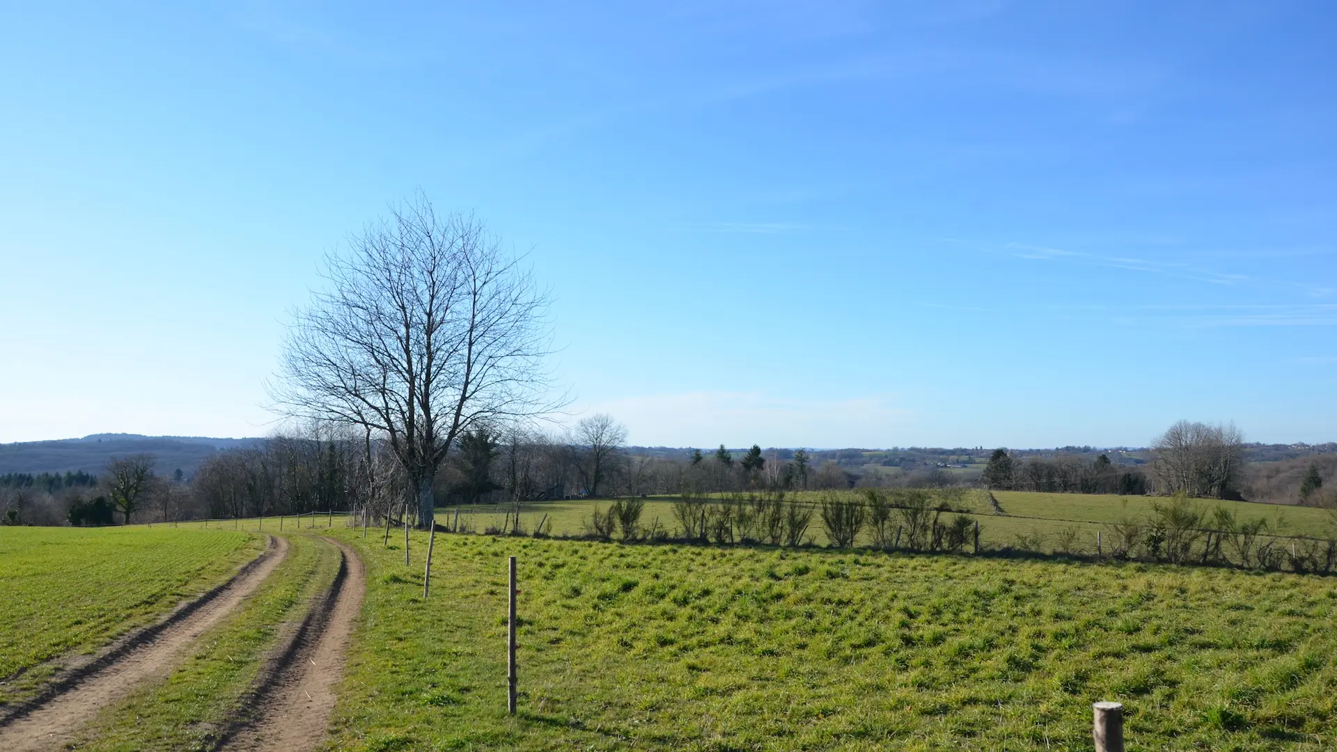 paysage circuit de caux
