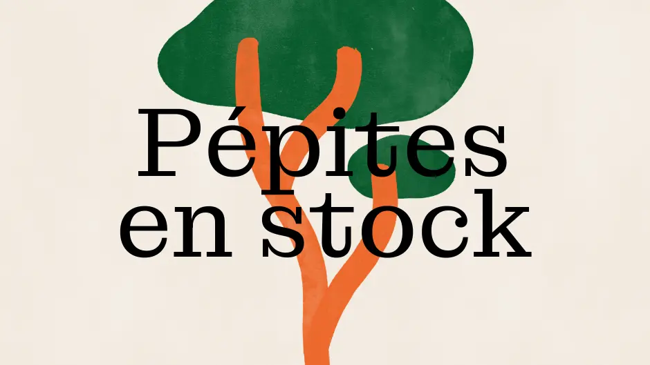 Pépites en Stock