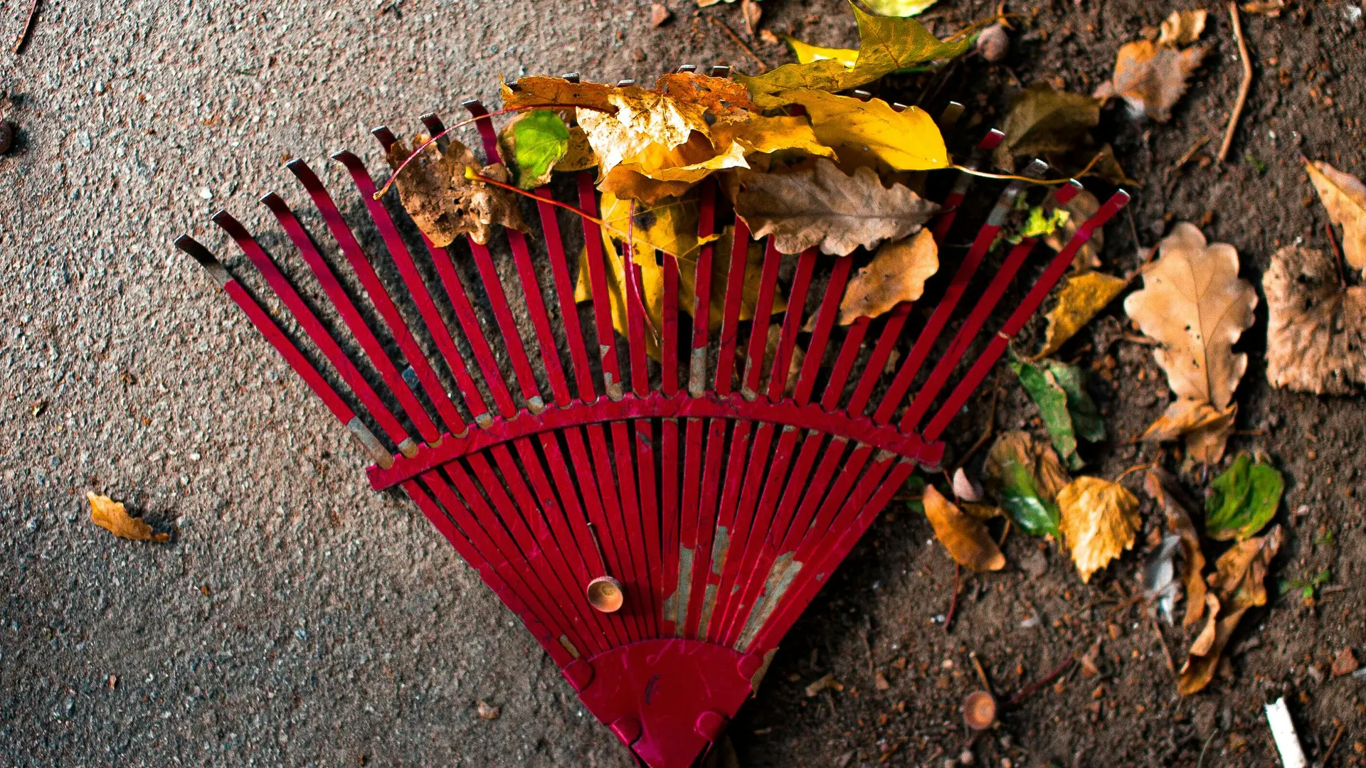 pexels-natalya-sh-83912098-9735037