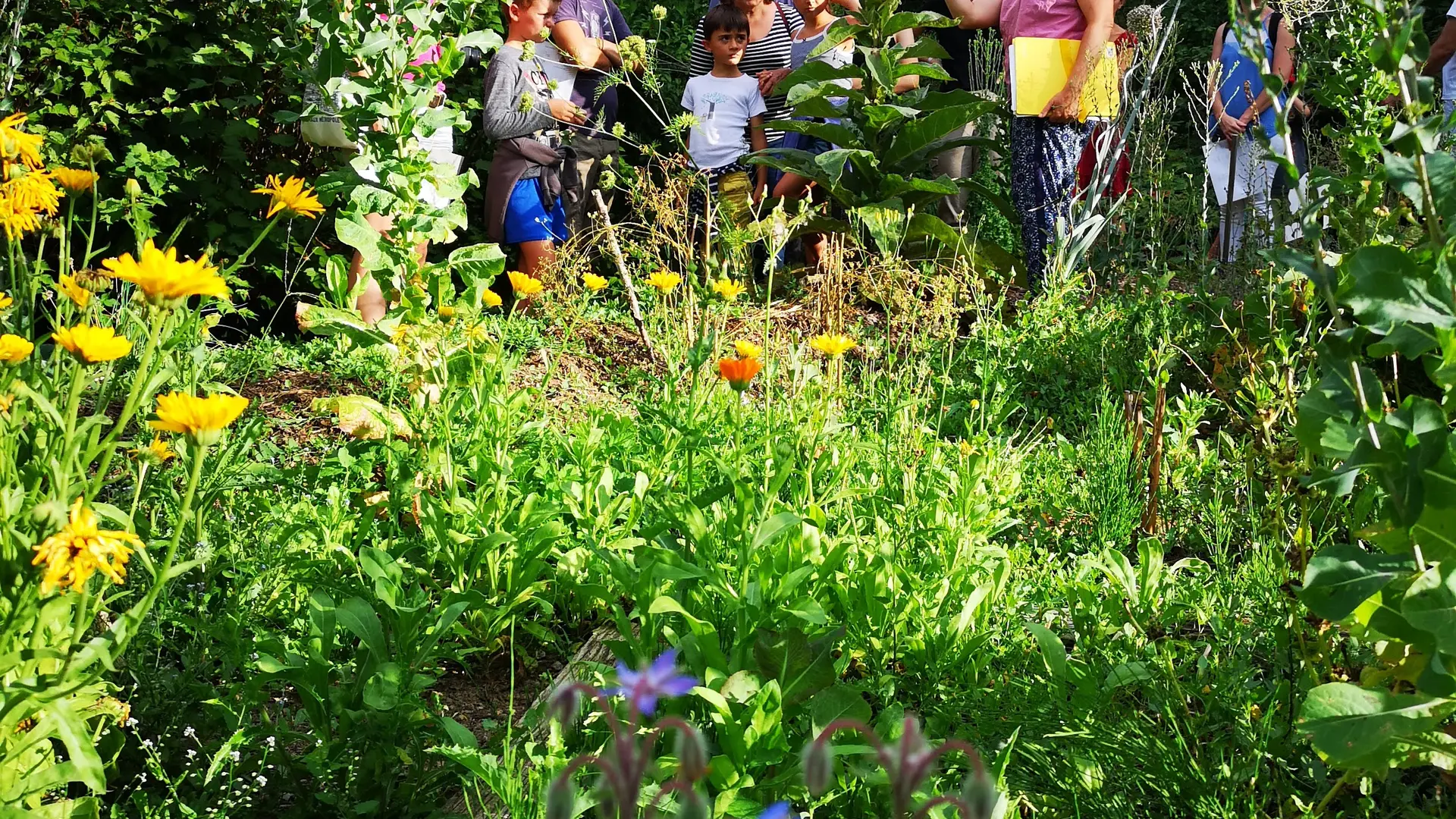 photo jardin animation