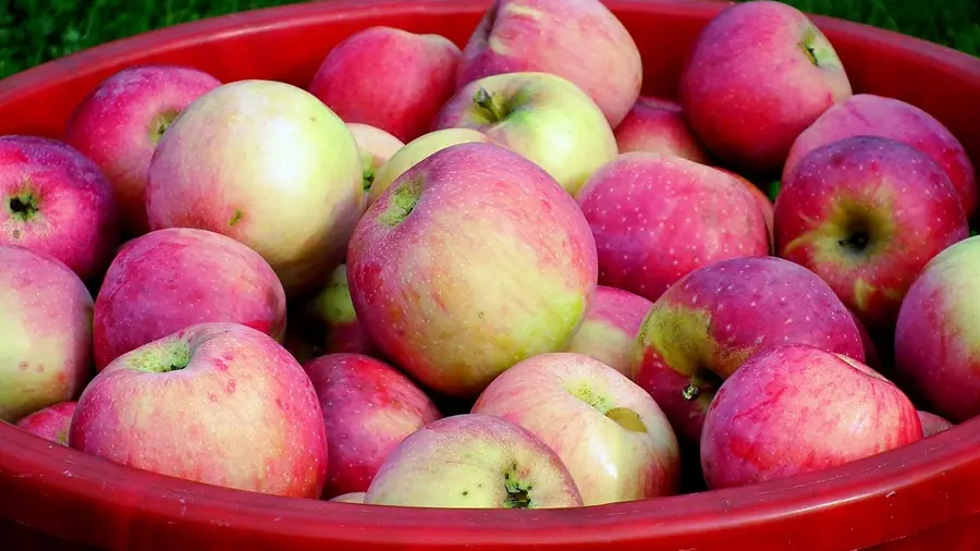 pommes