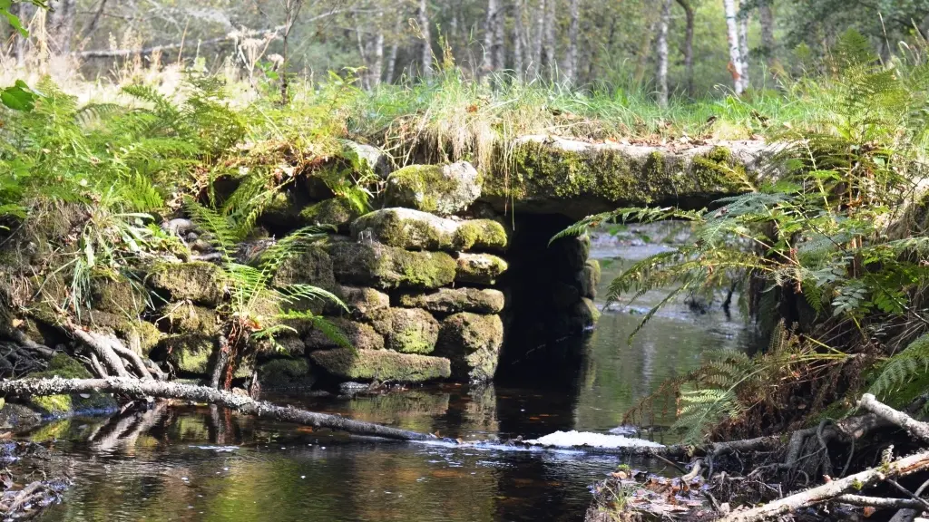 pont
