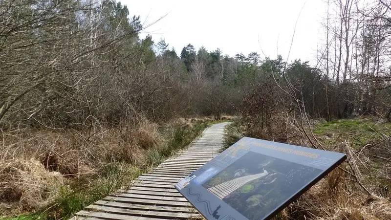 poi-2-pecieuse-zones-humides-ccvem_1.JPG.800x800_q85_watermark-d41d8cd98f00b204e9800998ecf8427e