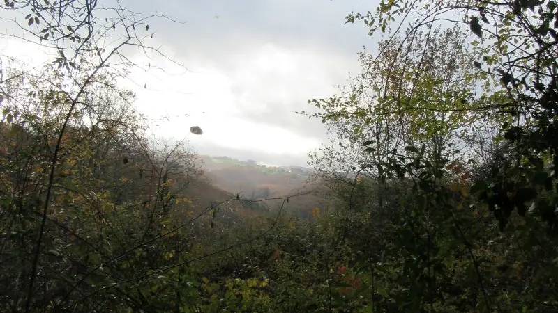 point de vue