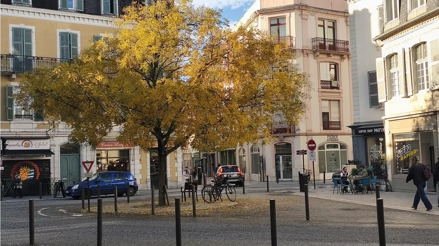 Place Saint Louis de Gonzague - Pau - le square