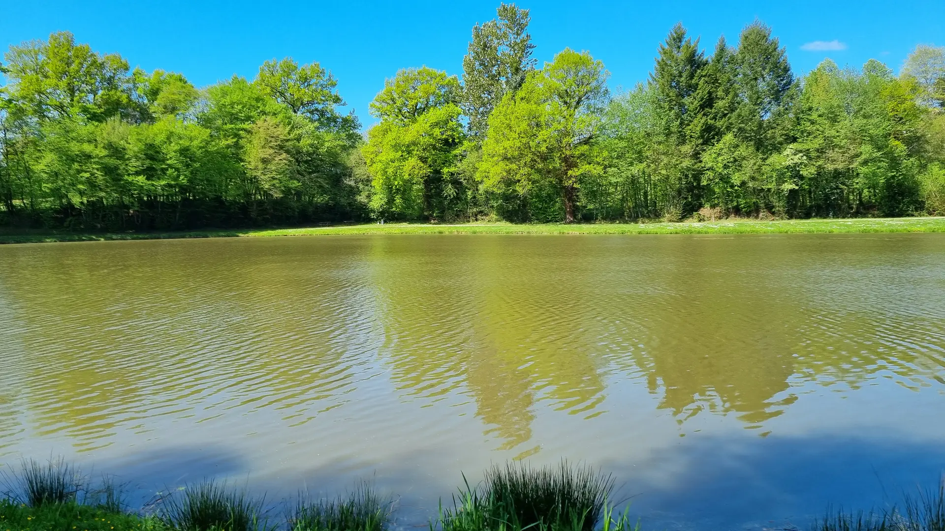 plan d'eau - St Pardoux Corbier ©L Léonard (1)